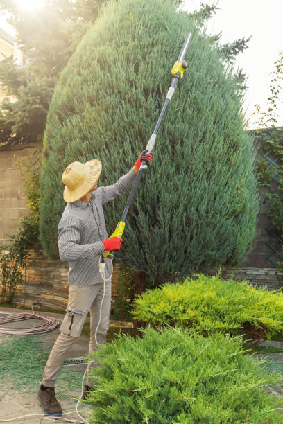 Best Lawn Watering Services  in Thermalito, CA